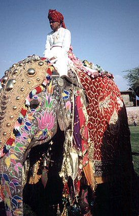 India Jaipur  Festival de Elefantes Festival de Elefantes Jaipur - Jaipur  - India