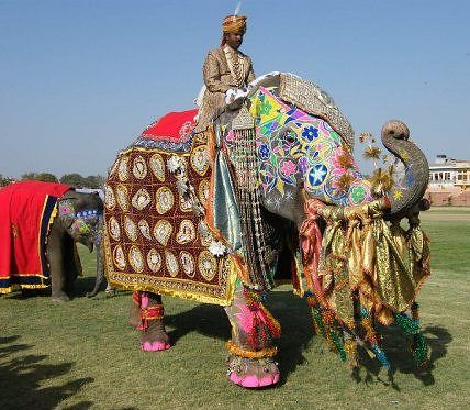 India Jaipur  Festival de Elefantes Festival de Elefantes Jaipur - Jaipur  - India