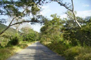 Zambia Sinazongwe  Lago Kariaba Lago Kariaba Zambia - Sinazongwe  - Zambia