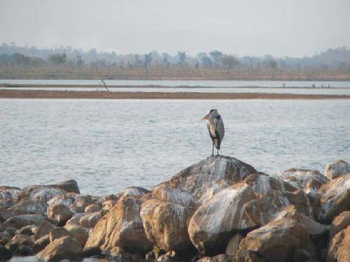 Zambia Sinazongwe  Lago Kariaba Lago Kariaba Zambia - Sinazongwe  - Zambia