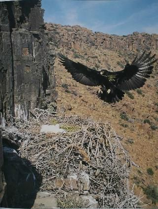 Zimbabue  Matobo Hills Matobo Hills Zimbabue -  - Zimbabue