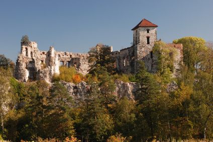 Castillo Tenczyn