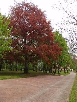 Lublin 