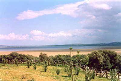 Tunez Parque Nacional Ichkeul Lago  Ichkeul Lago  Ichkeul Binzart - Parque Nacional Ichkeul - Tunez