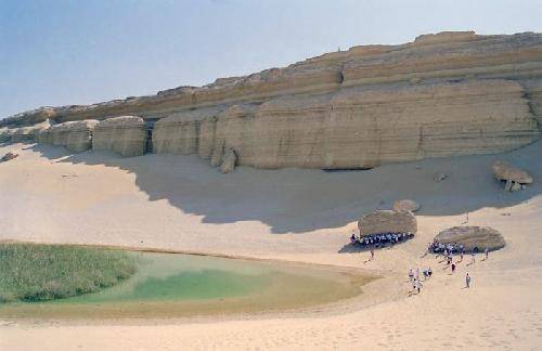 Egipto El-Fayoum Parque Natural de Wadi EI Rayyan Parque Natural de Wadi EI Rayyan  El-Fayoum - El-Fayoum - Egipto