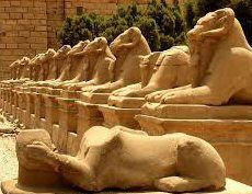 Egipto El-Fayoum Ruinas de Madinat Demeyet El Sebaa Ruinas de Madinat Demeyet El Sebaa  El-Fayoum - El-Fayoum - Egipto