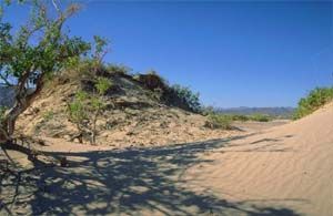 El Sinai ( Norte)