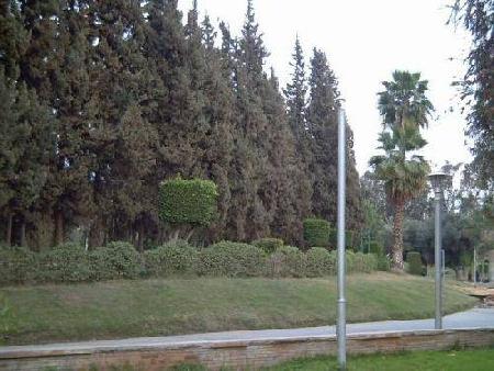 Nasr City 