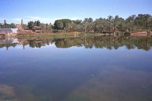 Egipto  Oasis de El farafra Oasis de El farafra Los Oasis -  - Egipto