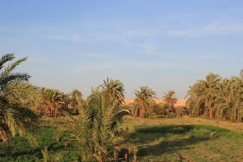 Egipto  Oasis de El-Kharga Oasis de El-Kharga Oasis de El-Kharga -  - Egipto