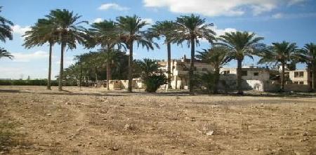 Alaamria