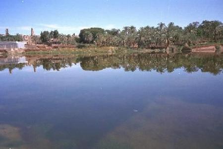 Oasis de El farafra