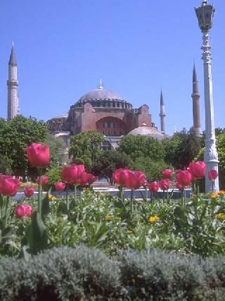 Estambul  Estambul Turquía -  - Turquía