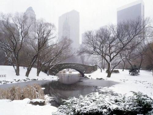 Estados Unidos de América  Nueva York Nueva York Nueva York -  - Estados Unidos de América