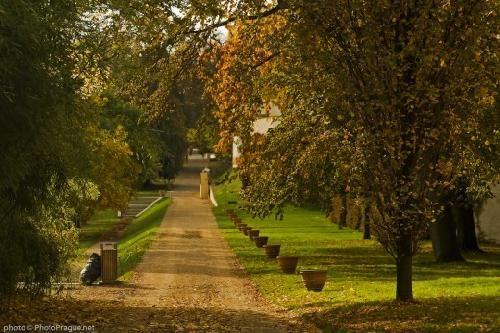 República Checa  Praga Praga Praga -  - República Checa