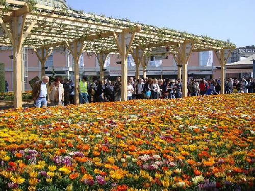 Italia Roma Roma Roma - - Italia