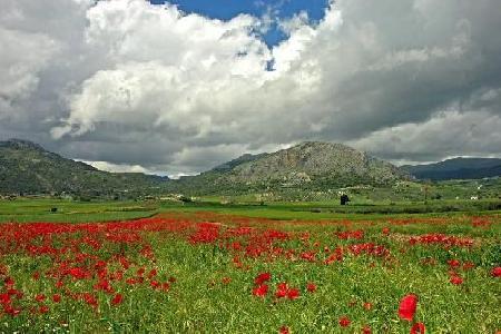 Málaga 