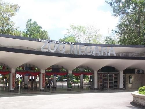 Malasia Negara Zoo y Acuario Zoo y Acuario Selangor - Negara - Malasia