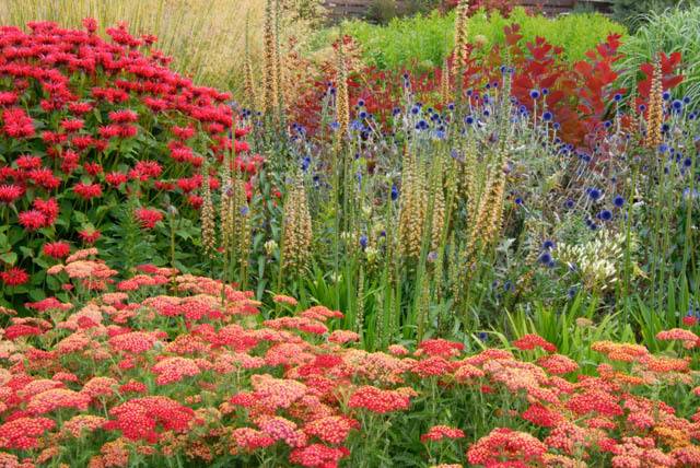 France Paris Atlantic Garden Flowers Atlantic Garden Flowers Paris - Paris - France