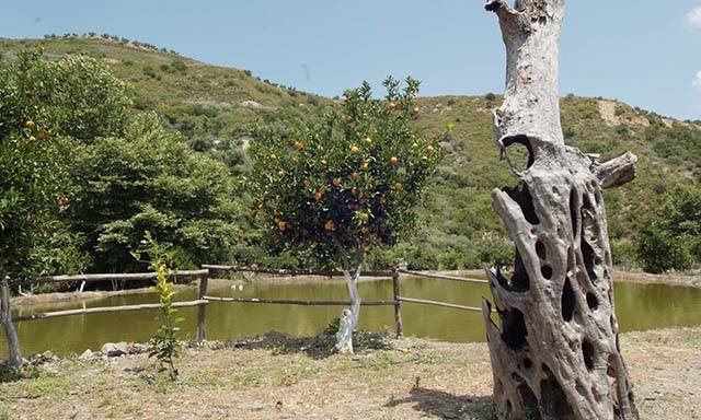 Grecia Iraklion  Parque Botánico y Jardines de Creta Parque Botánico y Jardines de Creta Iraklion - Iraklion  - Grecia