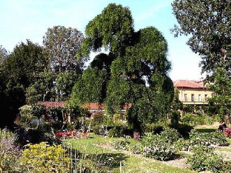 Jardín Botánica de la Universidad de De Turín