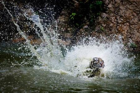 Kanchanaburi 