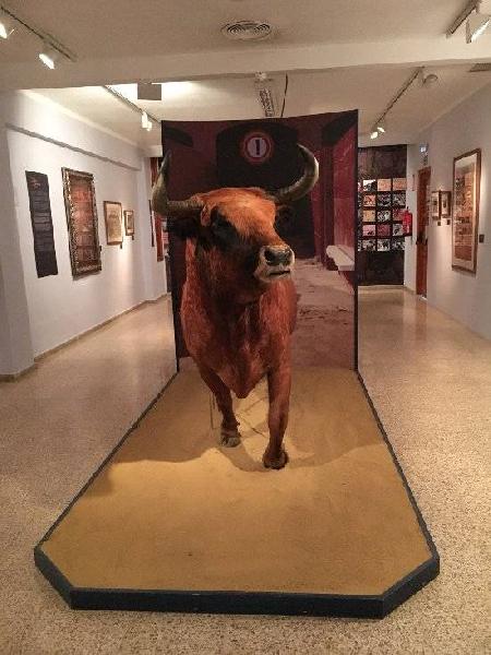 Museo de las corridas de toros