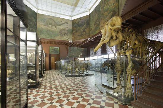 Russia Moscow Zoological Museum Zoological Museum Russia - Moscow - Russia