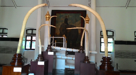 Museo Nacional de Elefantes Reales