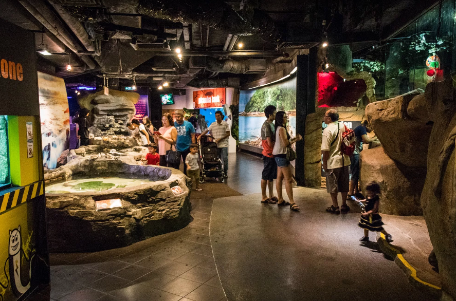 Malasia Kuala Lumpur Acuario del mundo marino Acuario del mundo marino Kuala Lumpur - Kuala Lumpur - Malasia