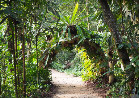 Sentosa Nature Discovery