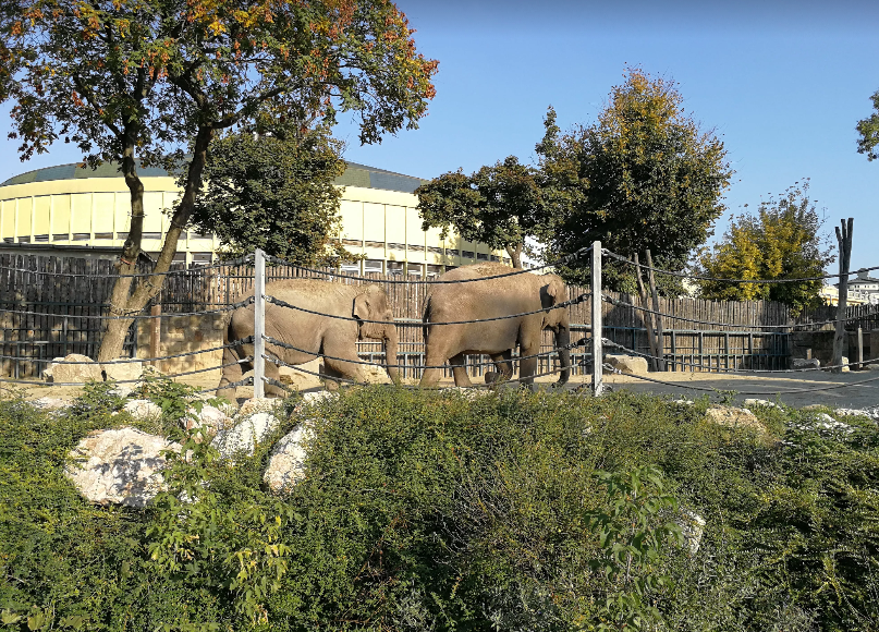 Hungría Budapest  Parque Zoológico de Budapest Parque Zoológico de Budapest Central Hungary - Budapest  - Hungría