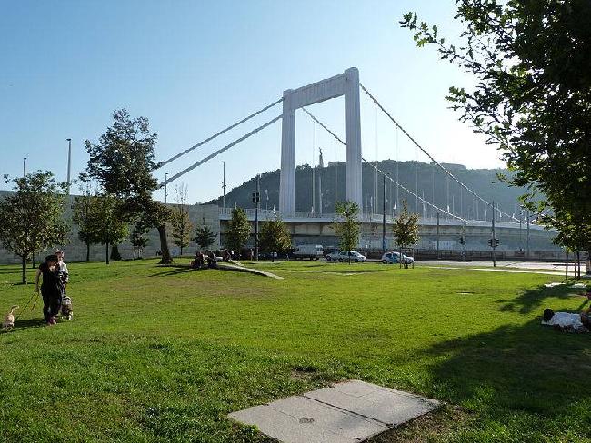 Hungary Budapest Isabel - Erzsebet Hid Bridge Isabel - Erzsebet Hid Bridge Hungary - Budapest - Hungary