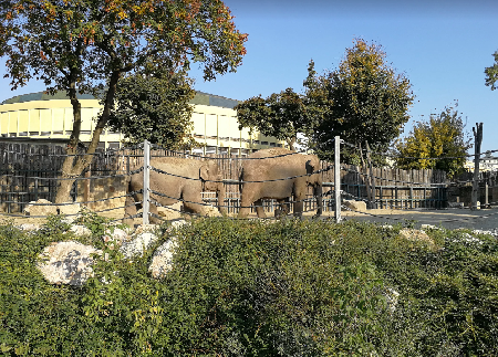 Parque Zoológico de Budapest