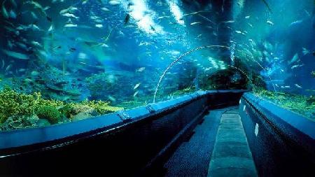 Hotels near Ocean Aquarium  Shanghai