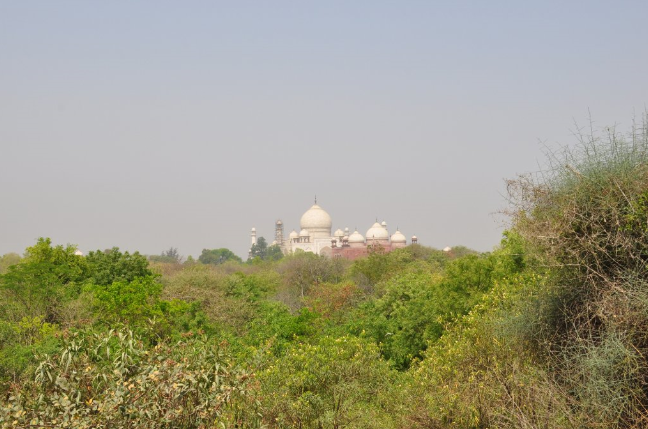 India Agra  Circuito natural del Taj Circuito natural del Taj Agra - Agra  - India