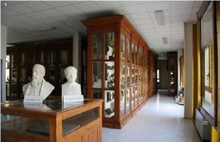 Museo de Anatomía Comparada