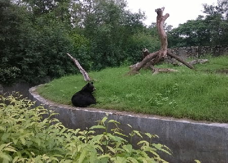 Parque Zoológico Nacional de New Delhi