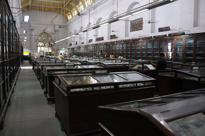 India Calcutta Indian Museum Indian Museum Kolkata - Calcutta - India