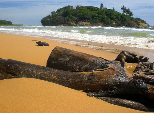 Sri Lanka  Playas de Beruwala y Bentoa Playas de Beruwala y Bentoa Sri Lanka -  - Sri Lanka