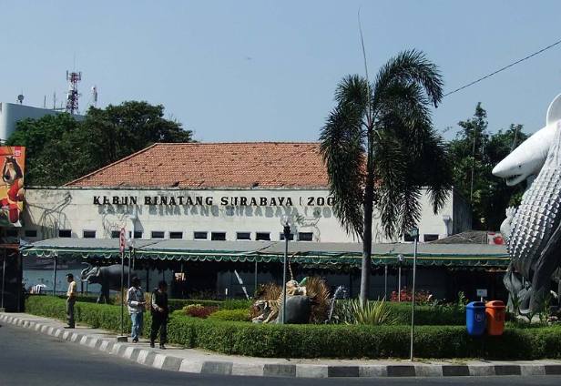 Indonesia Surabaya  El zoológico de Surabaya El zoológico de Surabaya Java - Surabaya  - Indonesia