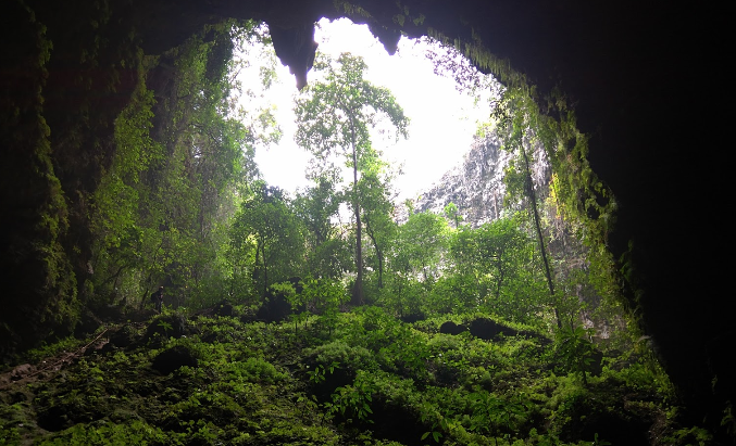 Indonesia Yogyakarta  Cueva Jomblang Cueva Jomblang Indonesia - Yogyakarta  - Indonesia