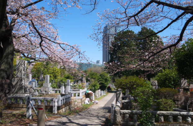 Japón Tokio Cementerio de Aoyama Cementerio de Aoyama Tokio - Tokio - Japón
