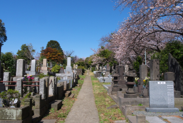 Japón Tokio Cementerio de Aoyama Cementerio de Aoyama Tokio - Tokio - Japón