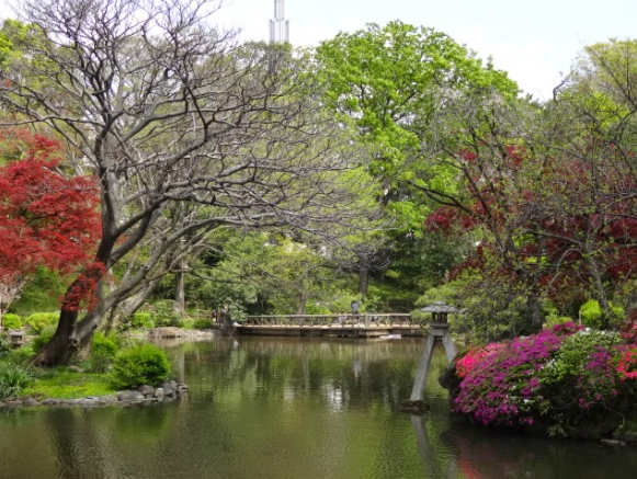 Japón Tokio Parque en Memoria del Príncipe Arisugawa Parque en Memoria del Príncipe Arisugawa Tokio - Tokio - Japón
