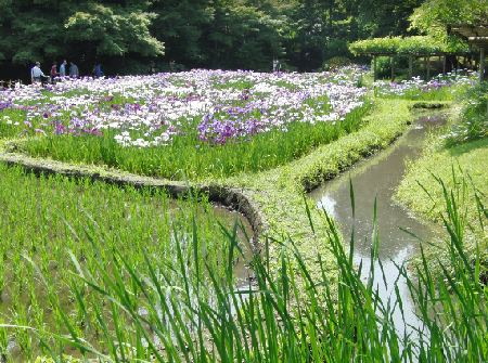 Jardín Koishikawa Korakuen