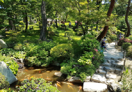 Sukkei-en Garden