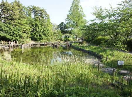 Parque Tetsugakudo