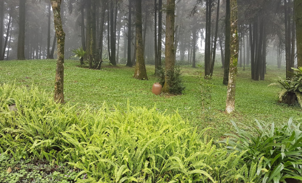 Vietnam Ha Noi  Parque Nacional de Ba Vi Parque Nacional de Ba Vi Ha Noi - Ha Noi  - Vietnam