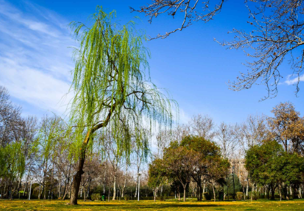 Irán Teherán Parque Laleh Parque Laleh Tehran - Teherán - Irán